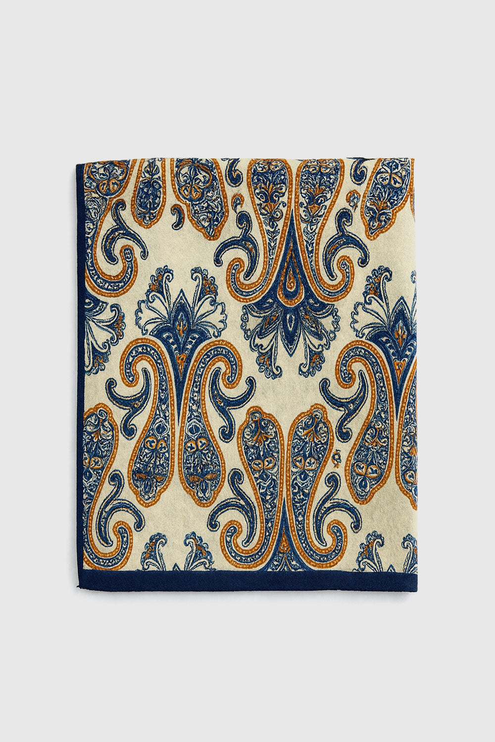 Paisley with border print scarf