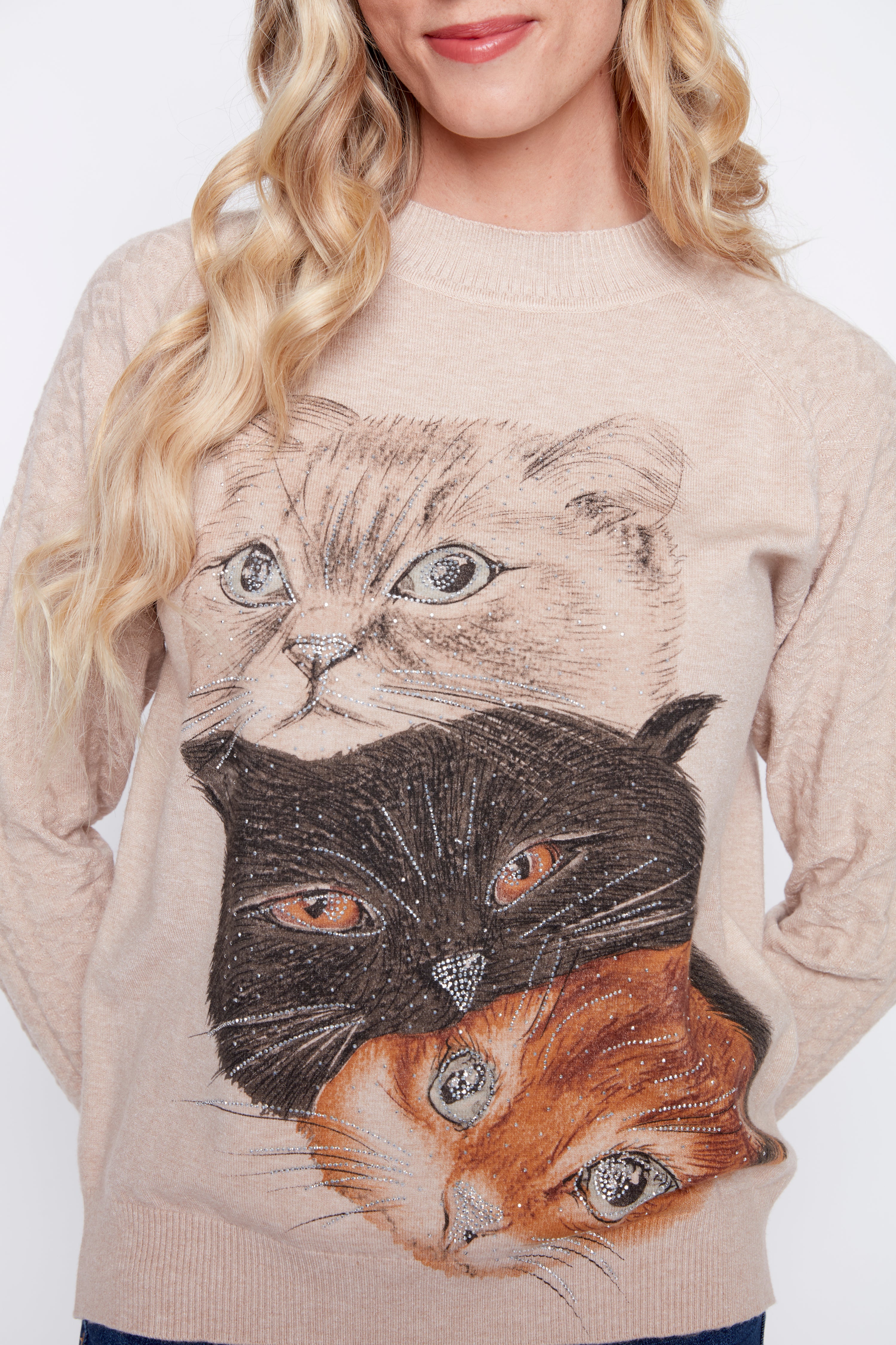 Le pull en tricot à motif trois chats