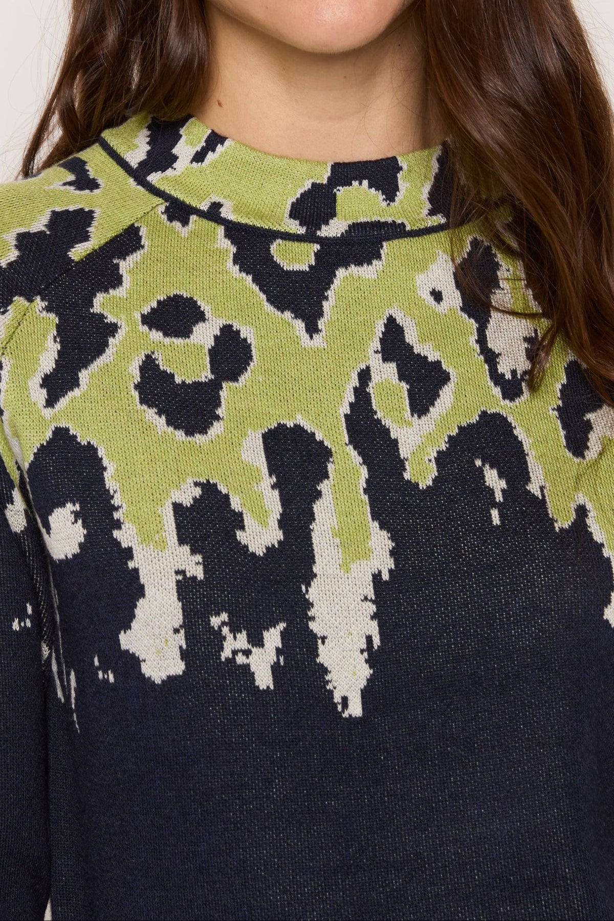#Color_LIME